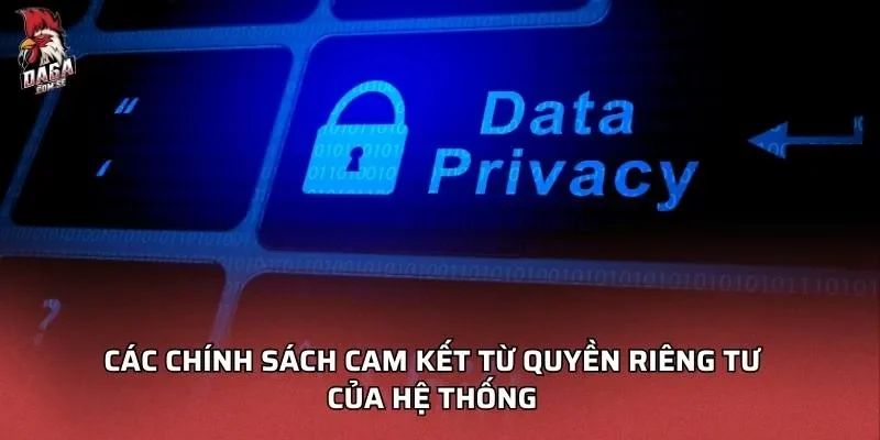 Quyền riêng tư DAGA Và Các Biện Pháp Bảo Vệ Cần Biết 2 Các chính sách cam kết từ Quyền riêng tư DAGA của hệ thống