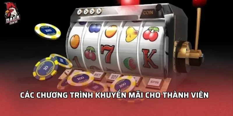 Sảnh PG Sở Hữu 100+ Trò Chơi Đồ Họa Ấn Tượng Nhất 4 Các chương trình khuyến mãi cho thành viên