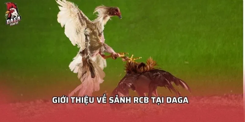 Giới thiệu về sảnh RCB tại DAGA