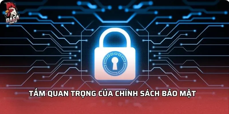 Chính Sách Bảo Mật DAGA An Toàn Cho Người Dùng 2026 1 Tầm quan trọng của chính sách bảo mật