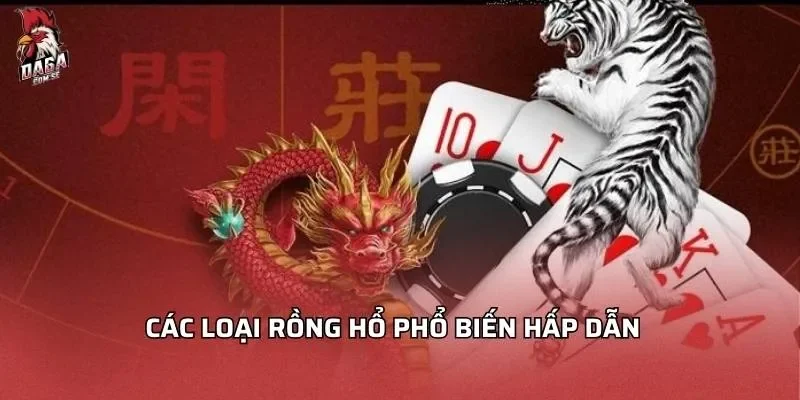 Rồng Hổ - Quyết Chinh Phục Chiến Thắng Lớn 2026 3 Các loại rồng hổ phổ biến hấp dẫn