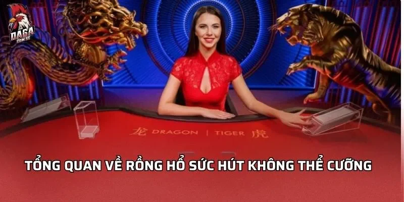 Rồng Hổ - Quyết Chinh Phục Chiến Thắng Lớn 2026 2 Tổng quan về rồng hổ sức hút không thể cưỡng